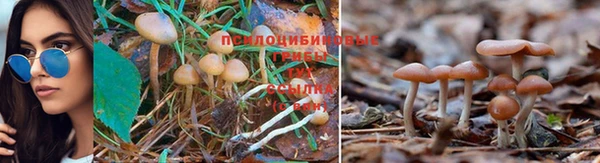 твердый Россошь