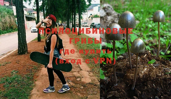 твердый Россошь