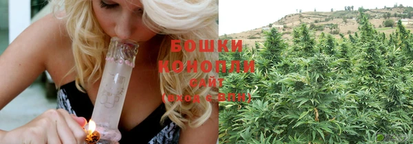 тгк Рославль