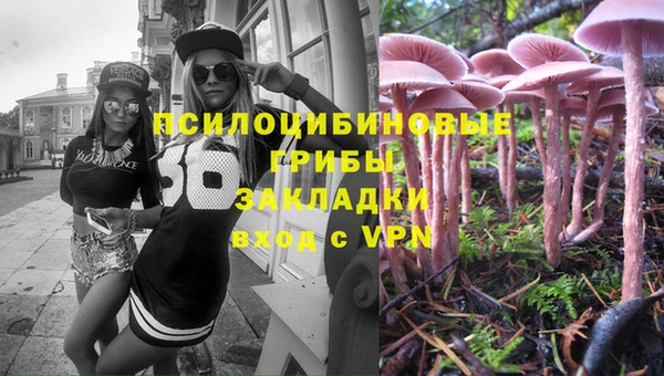 твердый Россошь