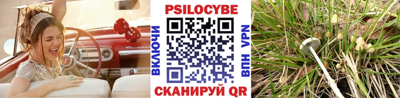Купить где  Чистополь  Галлюциногенные грибы мухоморы 